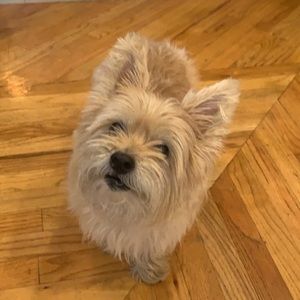 Meet your Posher, Jackie